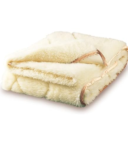 PREMIUM Sofwool プレミアム　ソフゥール　敷き毛布　メリノウール Amazon.co.jp: The PREMIUM Sofwool 敷き毛布 S(シングル